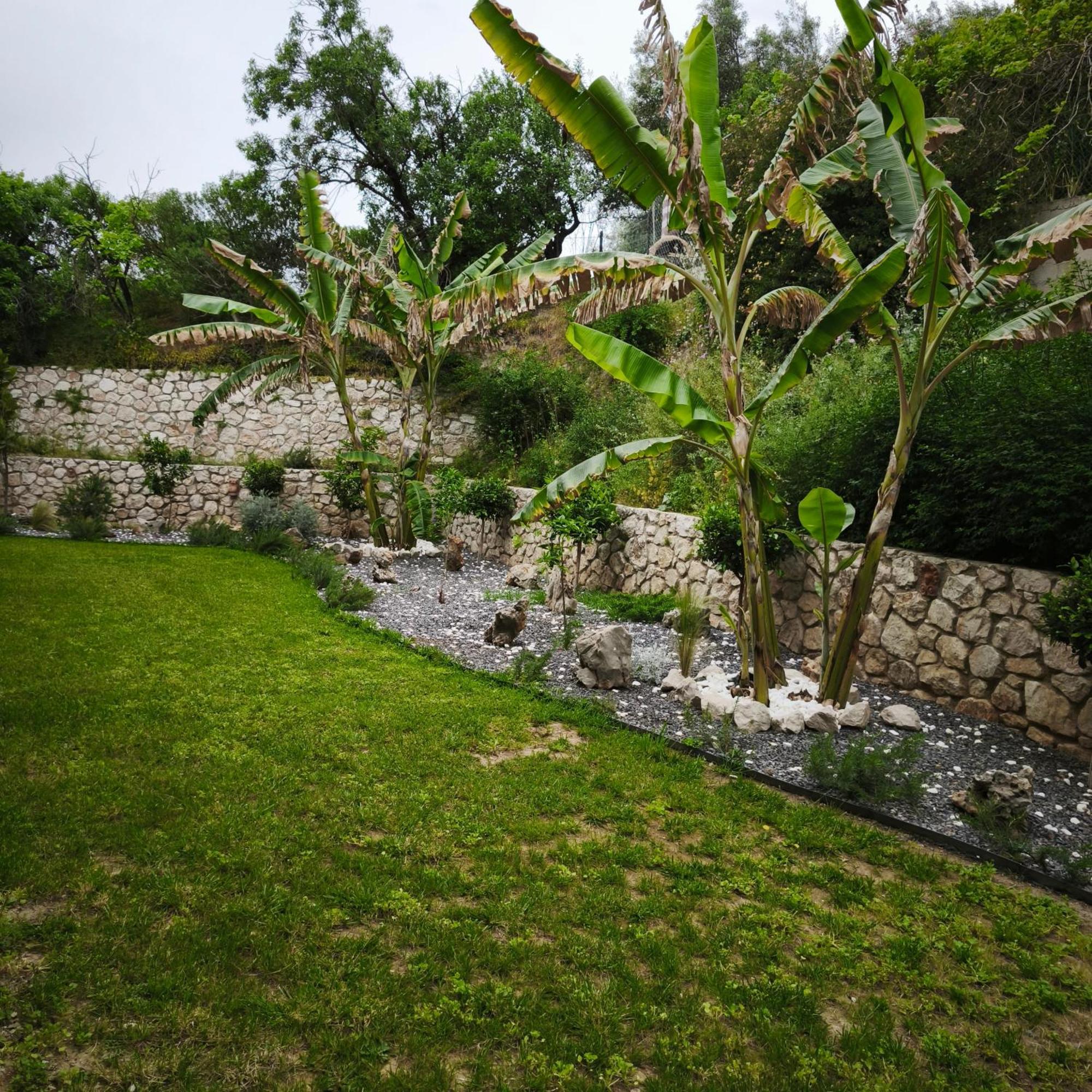 Apollon Hotel Tolo Exterior photo